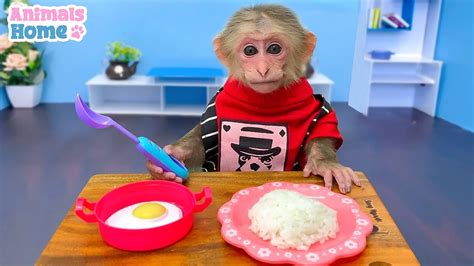 Monkey BiBi Cooks Breakfast And Helps Dad Sell Fruit YouTube