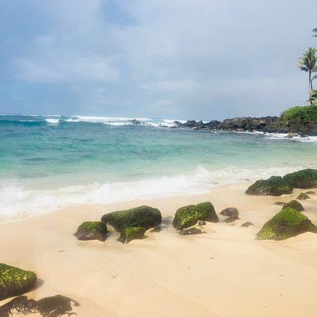 Sunset Beach Park (Haleiwa) - All You Need to Know Before You Go (with ...