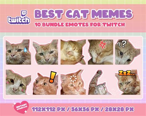 10 Cute Cat Memes Emote Pack 1 Cute Emotes Emote Animal Etsy