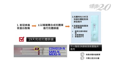 中研院研發新冠肺炎快篩檢測！只要15分鐘迅速得知結果武漢肺炎新型冠狀病毒單株抗體群｜健康20