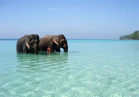 N D Andaman And Nicobar Islands Port Blair Tour Package At By