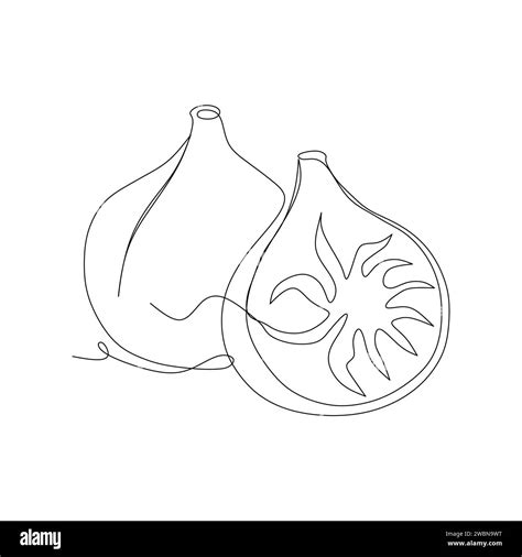 Continuous One Single Line Drawing Of Fig Fruits Icon Vector