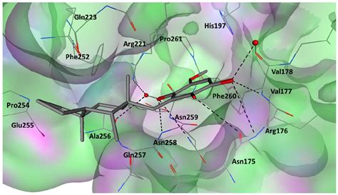 Molecules Free Full Text In Silico Docking Molecular Dynamics And