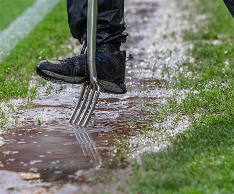 Tips On How To Repair Waterlogged Soil For Your Lawn