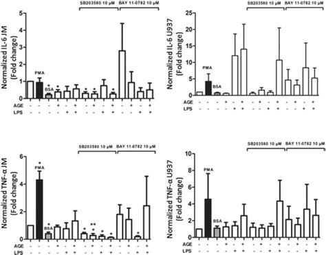 Gene Expression Mrna Of Il 6 And Tnf α Evaluated By Rt Pcr On Human