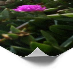 Bikini Girl Poster Zazzle