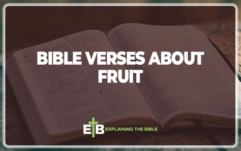 30 Important Bible Verses About Fruit - Explaining The Bible