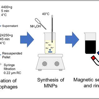 Scheme of conducted experiments | Download Scientific Diagram