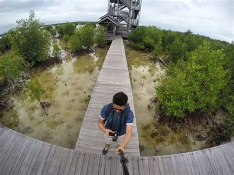 Wisata Hutan Mangrove Di Indonesia Kata Omed