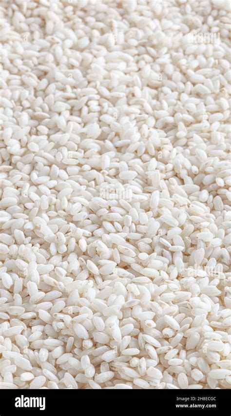 Arroz Blanco Grano Corto Fotograf As E Im Genes De Alta Resoluci N Alamy