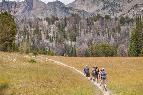 14 Top Hiking Trails in Montana | PlanetWare