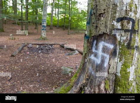 Esvástica Hitleriana Graffiti En Varios árboles Junto A Una Fogata En