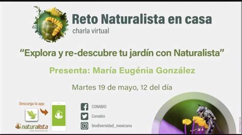 Explora Y Re Descubre Tu Jardín Con Naturalista María Eugenia González