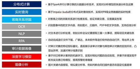 大数据智能审计解决方案 宝信软件产品网站