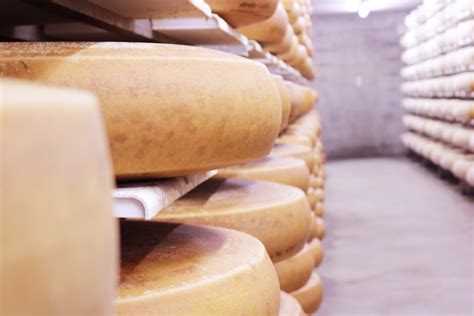 Reason Why You Should Consider Visiting The Emmental Cheese Region In