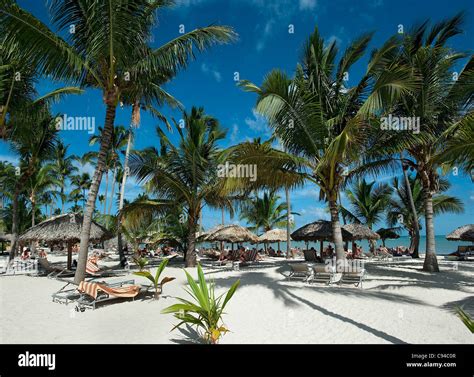 Bavaro beach at Catalonia Royal Bavaro Hotel, Punta Cana, Dominican ...