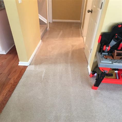 Nearly 10,000 People Swear By This Seriously Amazing Carpet Cleaner