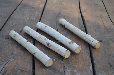 Birch Bundle Logs Of 4 White Birch Logs Rustic Craft Supply Etsy