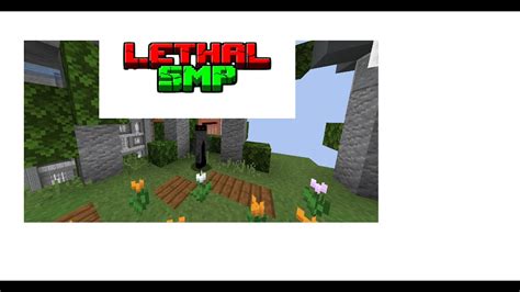 My Lethal Smp Application Youtube