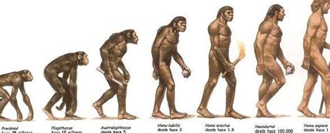 La fascinante evolución de nuestros antepasados humanos