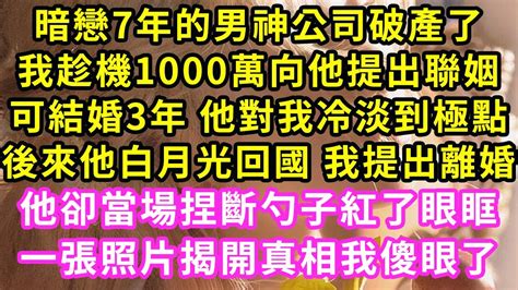 暗戀7年的男神公司破產了，我趁機1000萬向他提出聯姻，可結婚3年 他對我冷淡到極點，後來他白月光回國 我提出離婚，他卻當場捏斷勺子紅了眼眶