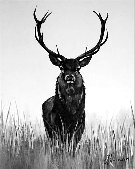 Oh Deer Painting By Jan Poncelet Pixels