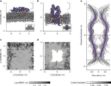 Membrane Anchoring Of Component A And Nanopore AB Affects The Lipid