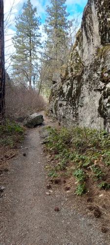 Best Hikes And Trails In Treaty Rock Park AllTrails