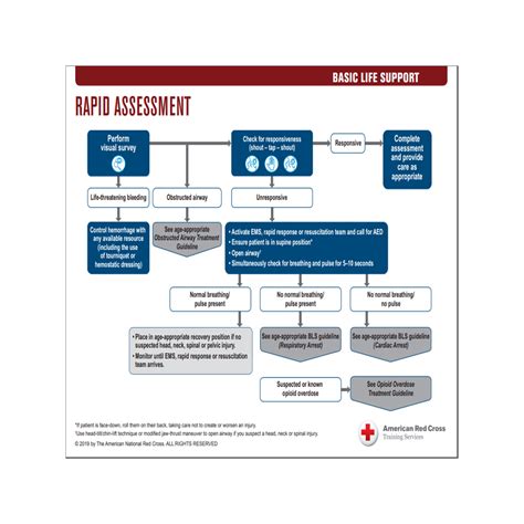 Bls Treatment Guidelines Red Cross Store