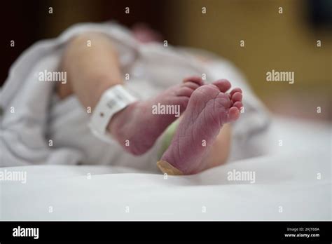 Newborn baby foot with identification bracelet in the hospital Stock ...
