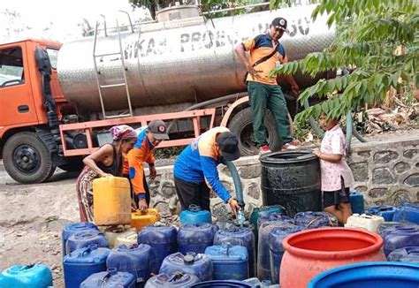 Dampak Musim Kemarau Mulai Terasa Di Kabupaten Probolinggo Badan