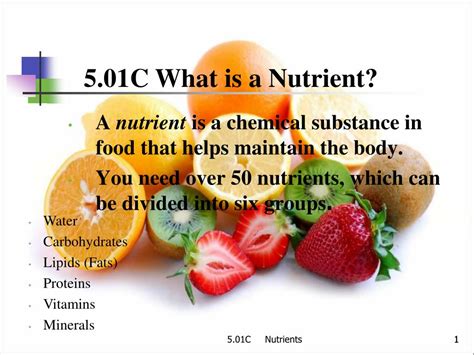 Ppt 501c What Is A Nutrient Powerpoint Presentation Free Download