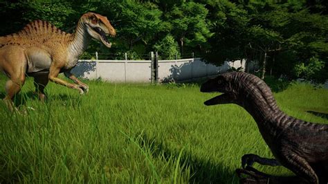 Spinoraptor Vs Velociraptor Breakout And Fight Jurassic World Evolution