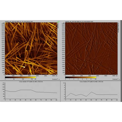 Silver Nanowires Av Diameter Ca 40 50 Nm 5 G L Dispersion In Ethanol