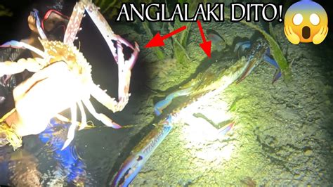 Ganito Ka Lalaki Mga Blue Crabs Sa Isla Bansahan Dumayo Kami Youtube