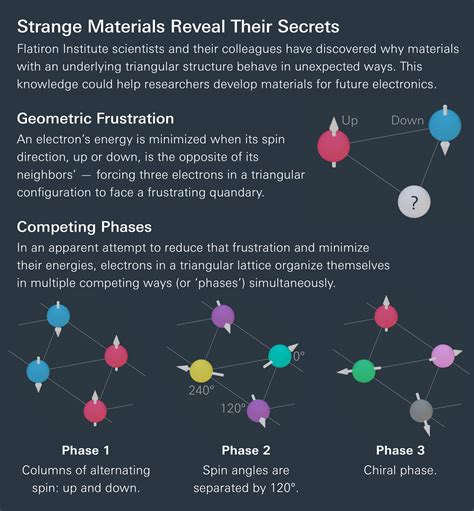 The strange materials used in baradino designs will surprise you