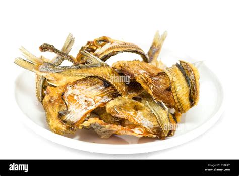 Fly Fish Dry Stock Photo Alamy