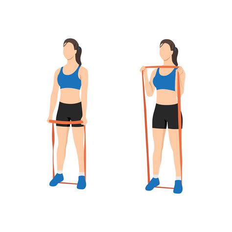 Woman Doing Hammer Grip Curls With Long Resistance Band Exercise Flat