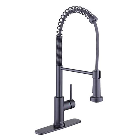 Reviews For Glacier Bay Paulina Single Handle Spring Neck Pull Down Sprayer Kitchen Faucet In