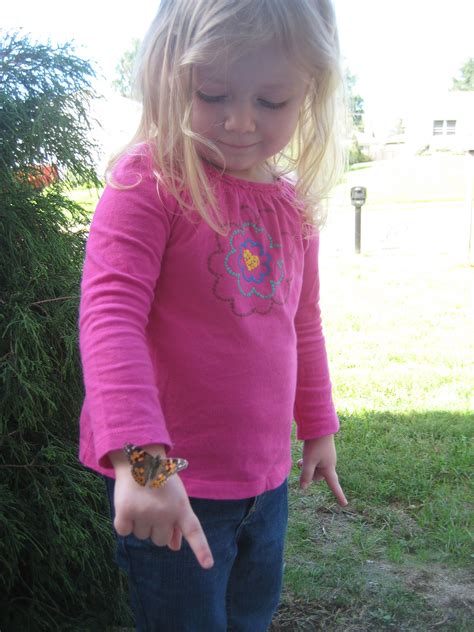 Butterfly! We bought the caterpillars, waited for them to turn into
