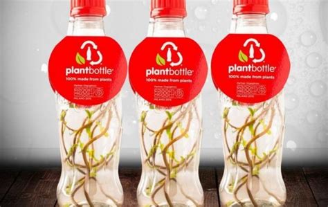 Plant-Based Packaging Materials