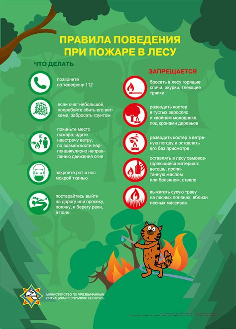 Памятка о правилах пожарной безопасности в лесу и на торфяниках ...