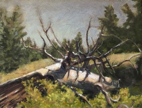 Fallen Tree Painting by David Noot - Fine Art America