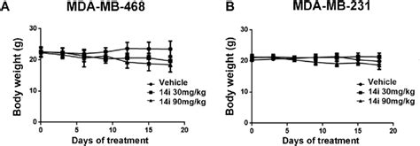 Body Weight Measurements In Vivo Antitumor Experiments Note Results