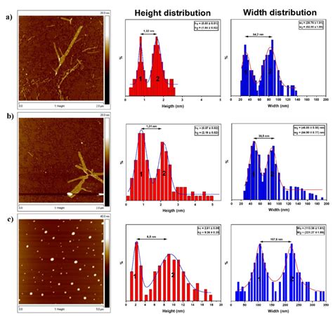 Figure S1 Afm Profiles Of Cyclo Ldlk12 Detected On Mica By Tapping