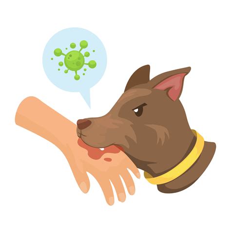 Dog Bites Hand Transmits Rabies Bacteria Virus Animal Healthcare