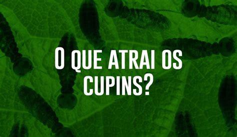 O Que Atrai Os Cupins Verum Sa De Ambiental