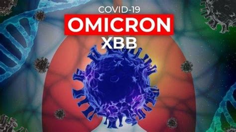 Covid Subvarian Omicron Xbb Terdeteksi Ada Di Indonesia Ini Cara