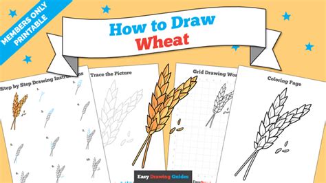 How To Draw Wheat Really Easy Drawing Tutorial