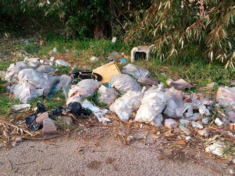 Foto Del Giorno Ardea Rifiuti E Degrado La Denuncia Di Una Cittadina